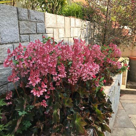 Robin Woods Homestay Sakleshpur Bagian luar foto
