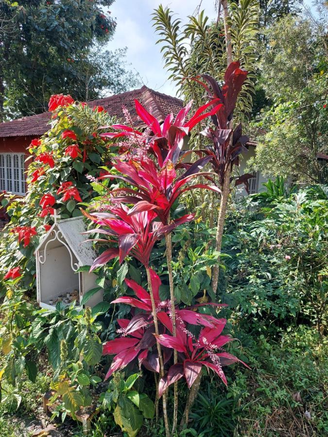 Robin Woods Homestay Sakleshpur Bagian luar foto