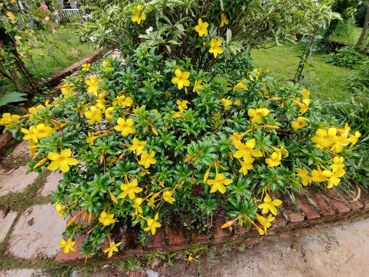 Robin Woods Homestay Sakleshpur Bagian luar foto