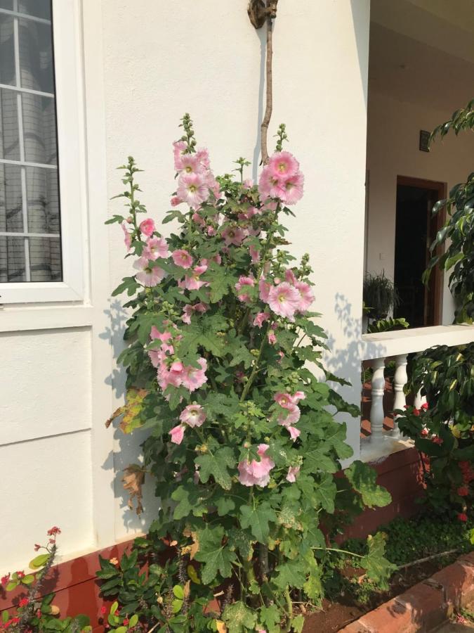 Robin Woods Homestay Sakleshpur Bagian luar foto