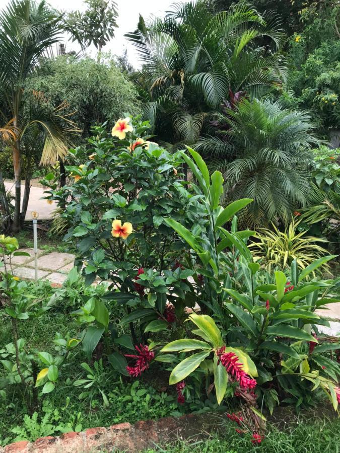 Robin Woods Homestay Sakleshpur Bagian luar foto