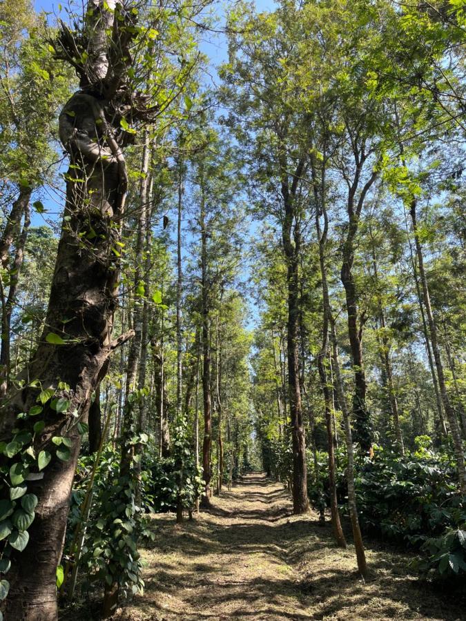 Robin Woods Homestay Sakleshpur Bagian luar foto
