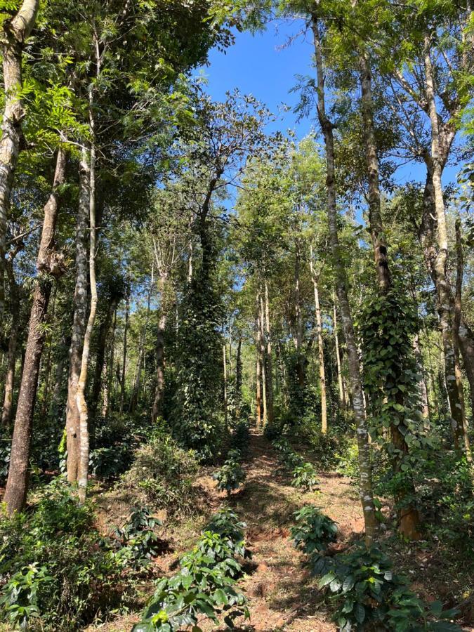 Robin Woods Homestay Sakleshpur Bagian luar foto